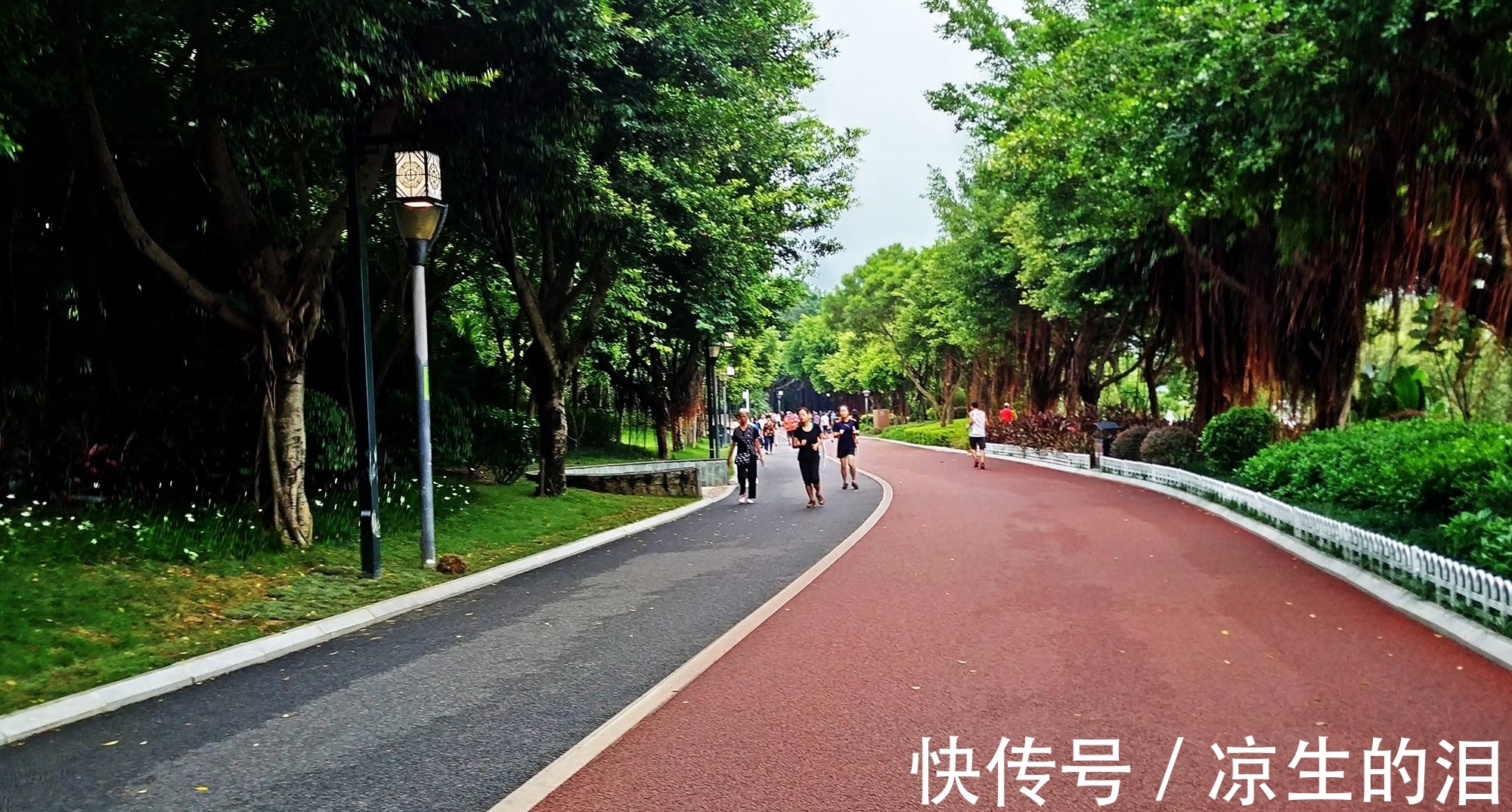 房地产|马云又出新预言,2021年大暴富行业已诞生,比房地产还赚钱