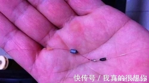 铅皮座|高手在民间,最新双铅通线单钩法,喜欢野钓别错过