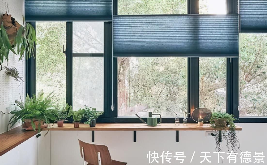 好好学习|等我有了钱,也要学她家这么装,在餐厅里“种树”,不要太享受!