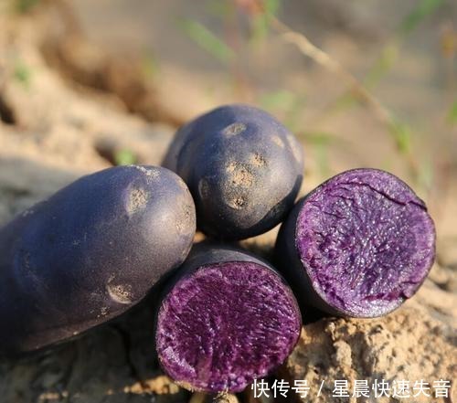  它是紫薯的“兄弟”，“花青素”比蓝莓还多，不懂吃太可惜了！