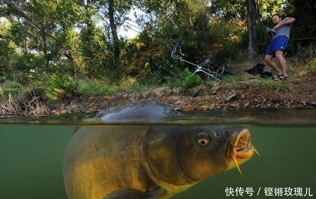 “三分钓技,七分钓位”是真的吗该如何选择