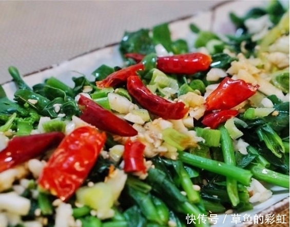 美食优选:焖锅养生山药、土豆炖鸡腿、炝拌油菜花、鱼香白菜粉皮