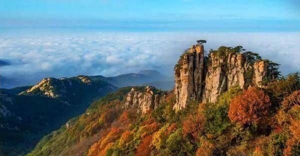 收购站&天上王城●天下泉庄｜|归园田居，遇见山上的生活