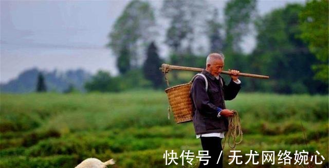 兄弟|刘邦兄弟墓被盗,盗墓贼将“摇钱树”低价卖掉,如今价值超20倍