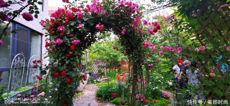 美好时光|花园改造:3年前买了栋带170㎡花园的房子,过上种花草的乡村生活