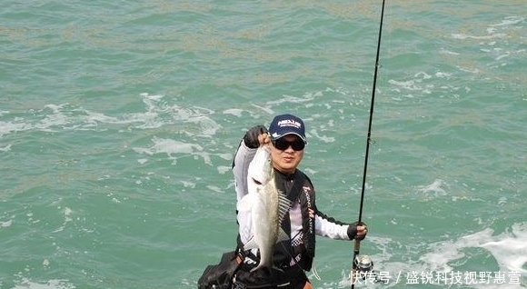新手|夏天钓鲈鱼用上这两招,下竿就上鱼!新手多读几遍——盛世三渔