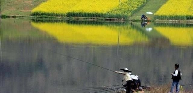 鱼儿|春钓时,每天这两个时间段钓鱼都是连竿,许多钓友竟然还在睡觉