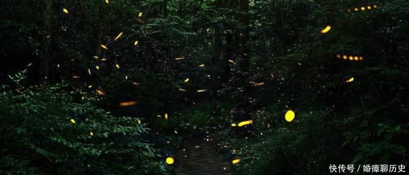 独自|秦观一人独自出门纳凉,写下一首生动有趣的诗,读来令人拍案叫绝