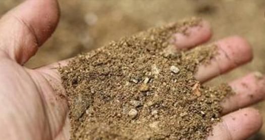 养花|用这种“土”养花,比蚯蚓粪、啤酒水更厉害,养啥花都能“旺”