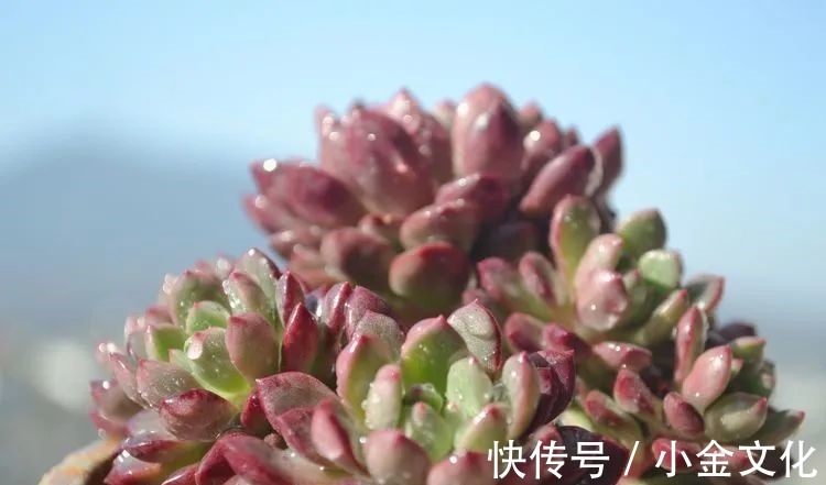 以阳光为滤镜,蓝天为背景,期待拥抱春天,拥抱自然!