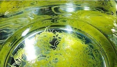 晚上遇冷咳嗽厉害,一碗止咳水,排痰超快,润肺止咳