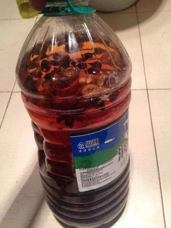 野钓|入秋后,钓鱼根本不用打窝!野钓用这些,水底的鱼全被你钓光了