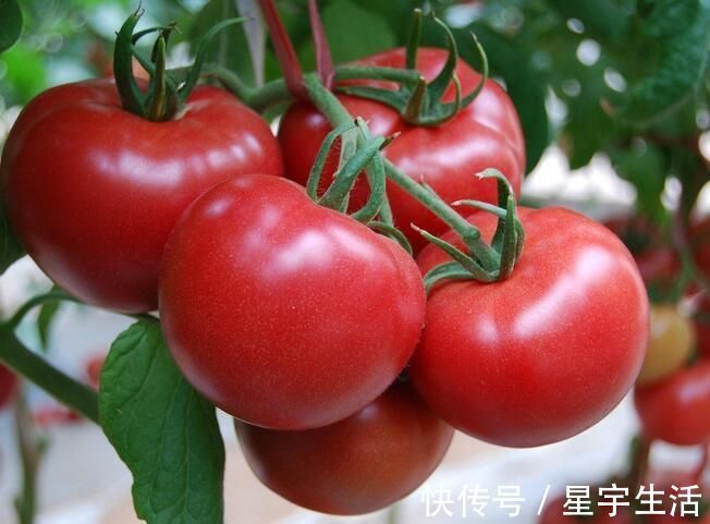 晨起|女性晨起时,4件事若坚持做,卵巢或许会越来越“年轻”