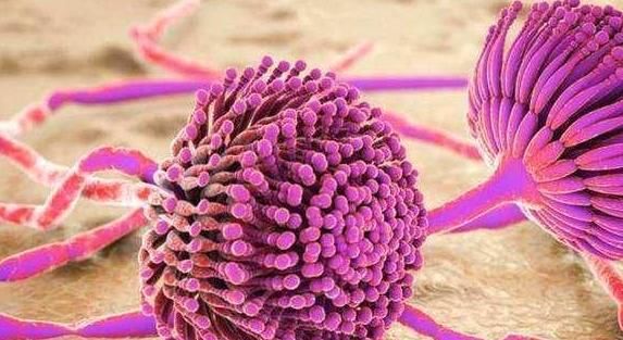 专家提醒:以下3种伤肝的食物,无论男女,再馋嘴也不要多吃