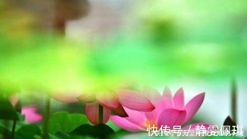 明惠|佛家一句话，胜读十年书！何况这次给出了十句！