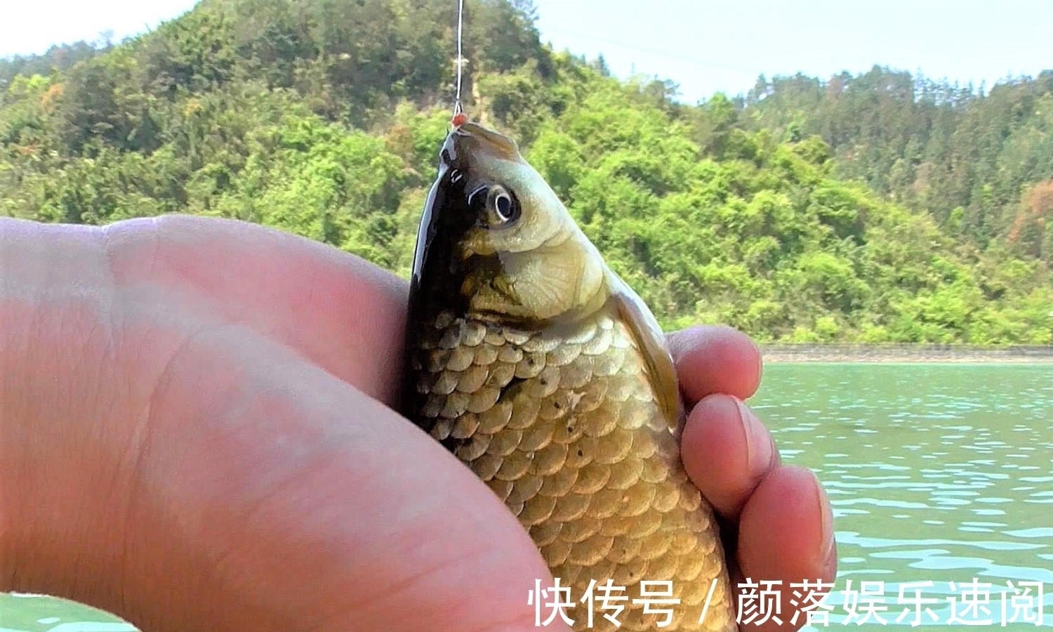 为什么现在很少有人使用伊势尼鱼钩钓鱼?