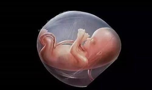 症状|如果胎儿智力有问题,孕妈在孕期有哪些特殊的症状?