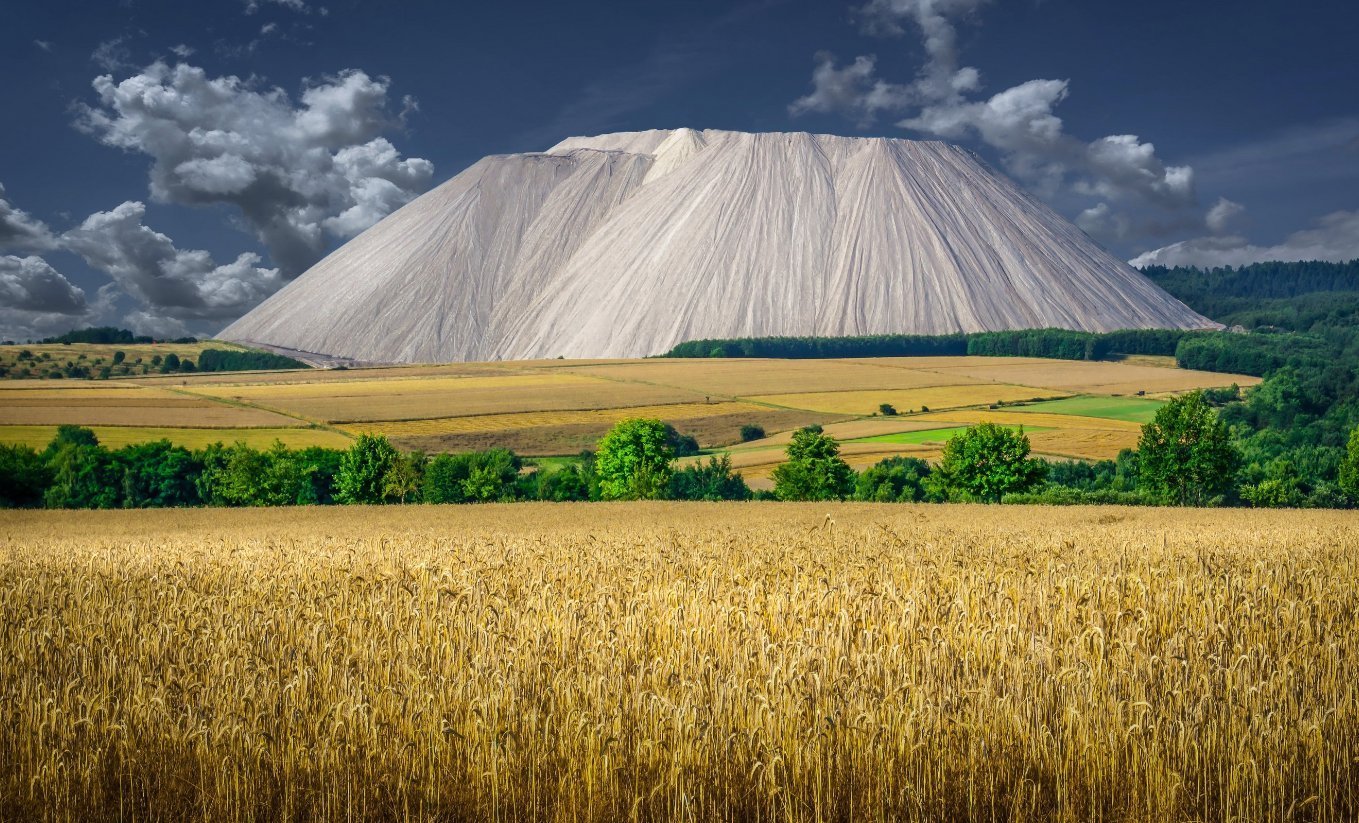 星座|居安思危,自律稳重的星座,进退有方,得失有序,不会瞎着急
