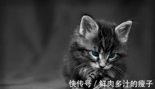 |幽默笑话:陪女友逛街,钱包瘦得我心疼,过红绿灯时遇到了个乞丐