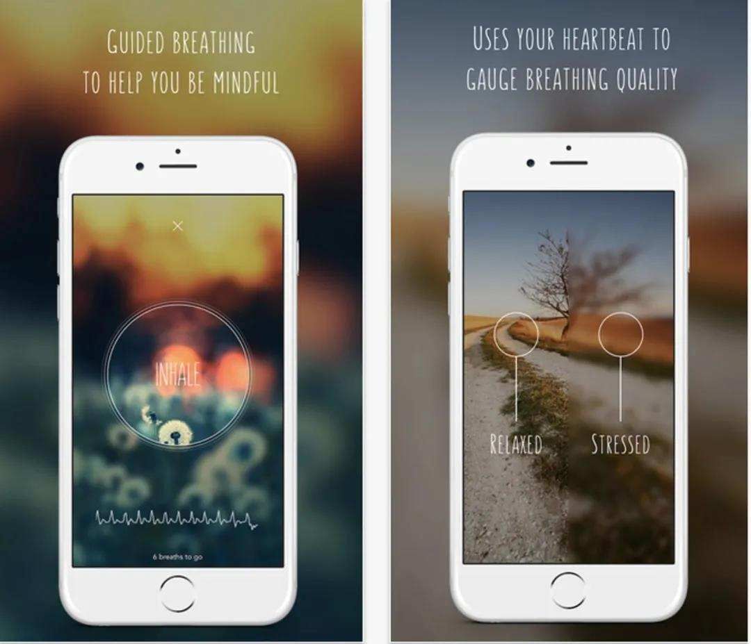 生长|少吃一块肉, 多活好几年, 这个黑科技告诉你如何逆生长