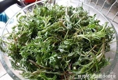 什么是茵陈 茵陈的功效有哪些