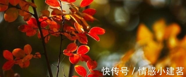 稻盛和夫|商界大佬稻盛和夫给年轻人的三条忠告，句句受益，值得一读