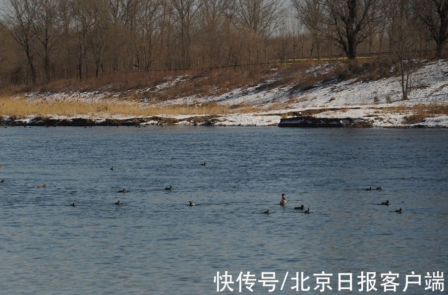 杨征|雨水节气前后，在北京何处寻找春意？还可去哪怀古？