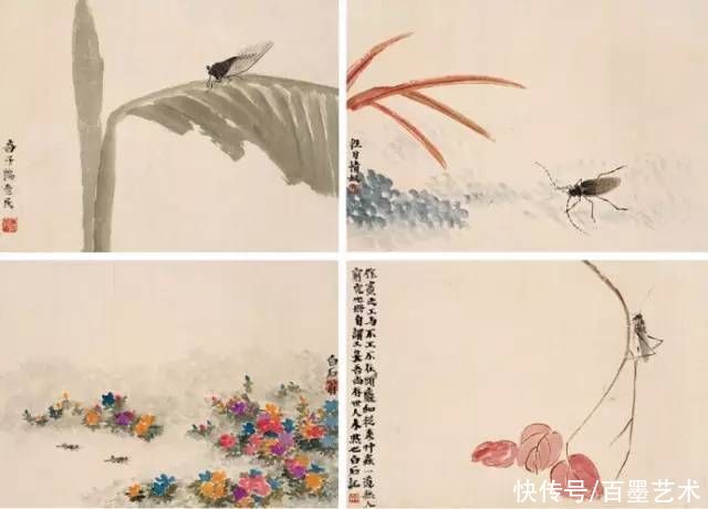 蝴蝶|齐白石草虫图200张，他把草虫画活了