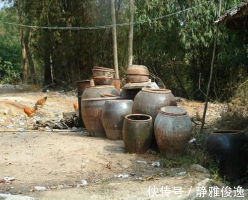 土鸡蛋|60岁老母亲驱车3千里,给女儿带来月子餐,样样都是农村的美味!