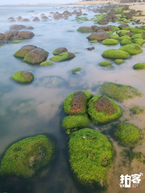 海口海湾有片“绿石滩”|拍客 |海口海湾有片“绿石滩”\＂,\＂i16\＂:\＂拍客