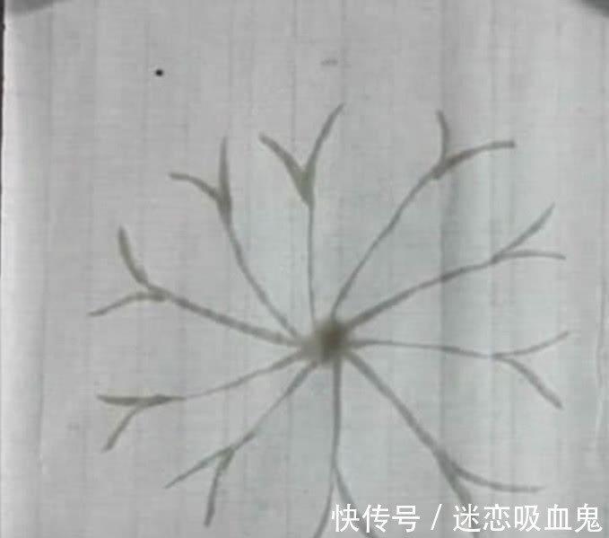 国画!大妈画国画就跟玩似的, 旋转几下毛笔, 一片3D版荷叶就画好了!