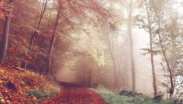 平和$聪明人不得不知的5条处事哲学,背下来,受用一生