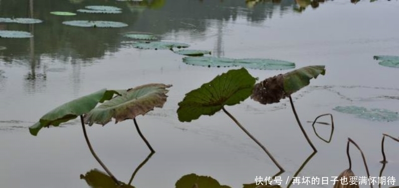 难怪卢照邻不服王勃,读他这首诗就知道,他的才华完全不输于王勃