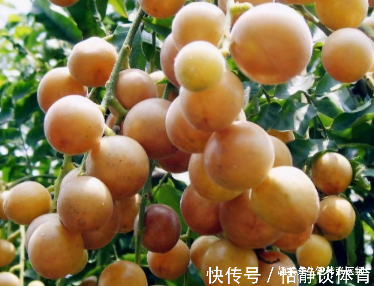 维生素c|好食物吃出好身体，3种食物不错过，补充营养，身体棒棒哒！