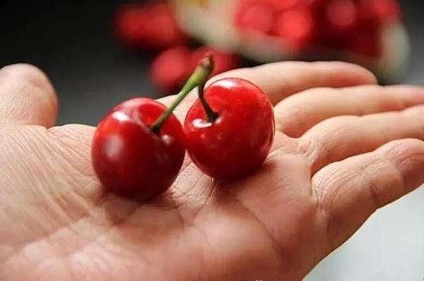 妈妈|宝妈怒斥孩子白眼狼,本想炫耀辛苦,却被孩子一句话问得无言以对