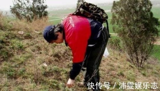 本草纲目|农村一种最常见的野菜,如今一斤15元成稀罕货,营养价值高