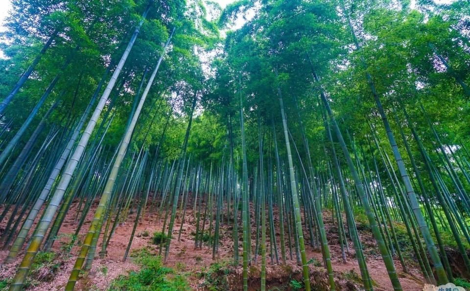 风光旖旎|从《诗经》走出来的县城，山清水秀、风光旖旎，是全国首个生态县