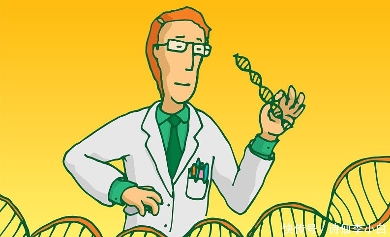 染色体 2号染色体上的秘密,启迪人类思考,生命到底源于何处