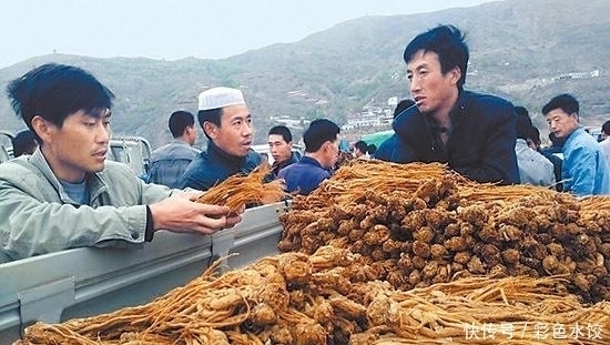 它是子宫肌瘤的“死对头”，用水“煮一煮”，活血暖宫，更健康！