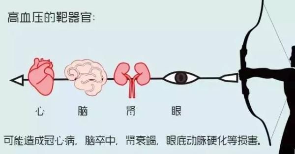 科普知识|图解高血压的科普知识~值得收藏！