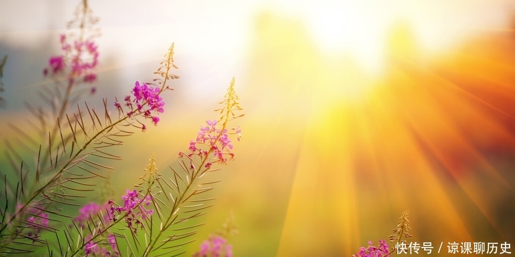 乐观|豁达乐观烦恼少