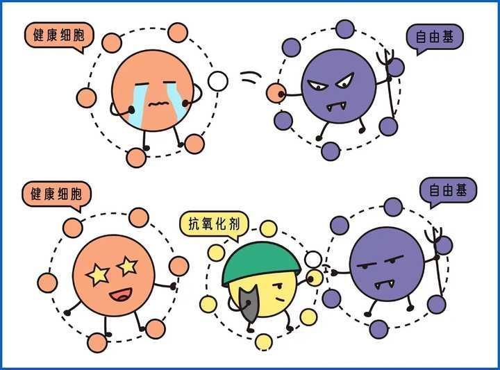 护肤品|全网都在疯狂安利的「早C晚A」，真的可以美白抗老？