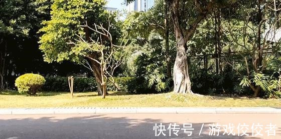 跑鞋 舒适、透气、缓震,入门级专业跑鞋咕咚10k pro体验!