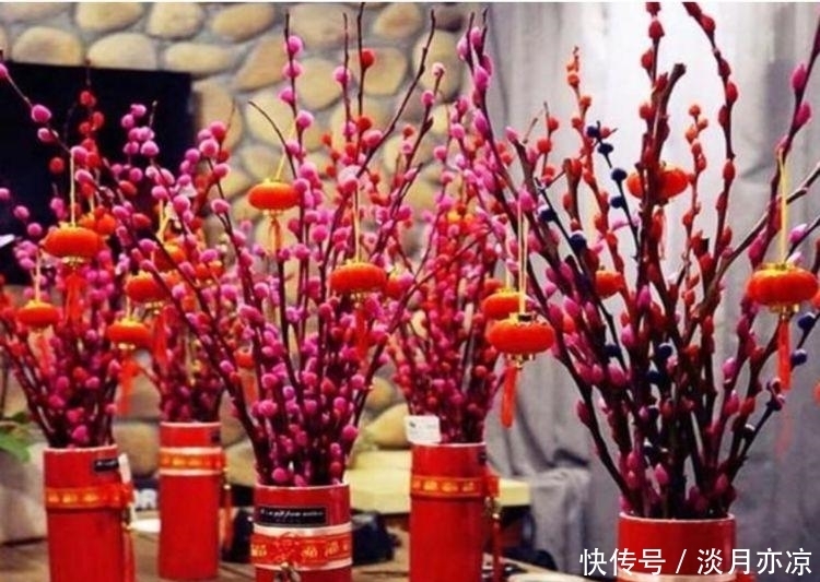 庭院选这几款花，花姿妖娆，花大多又艳，一开就是300多天！