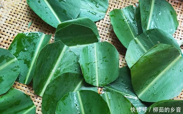 食材|今天我来下厨房,做点甜品过重阳