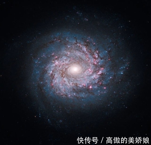 “你生日那天的宇宙长什么样”8亿网友挤爆NASA太可以了