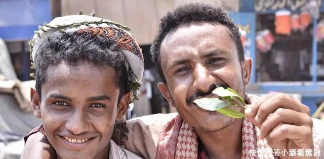 唯一以“树叶”为食的国家,当地人吃到脸变形,还忍不住天天吃