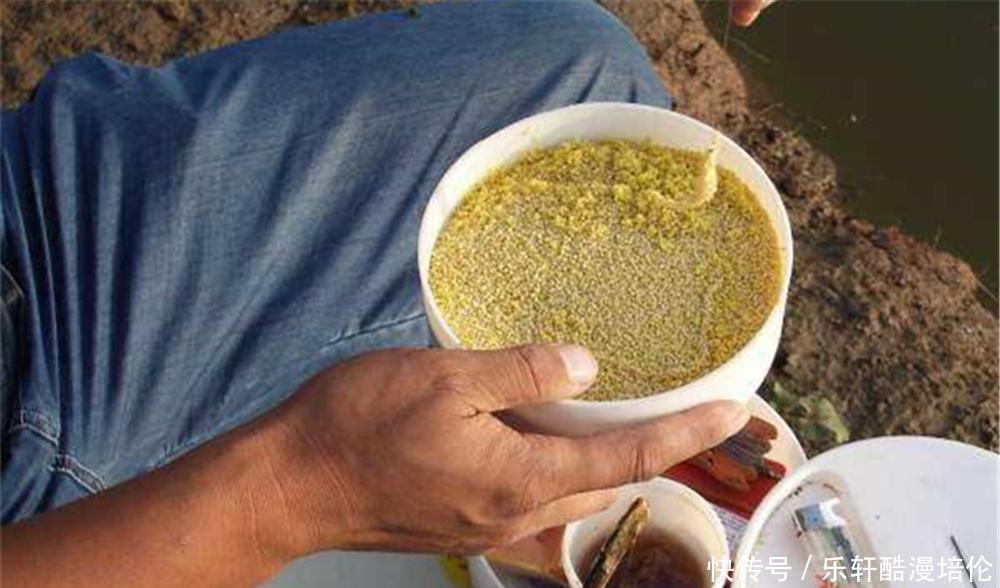 春季钓鲤鱼,野生鲤鱼特别“嘴巴刁”,窝料配方一定要投其所好!