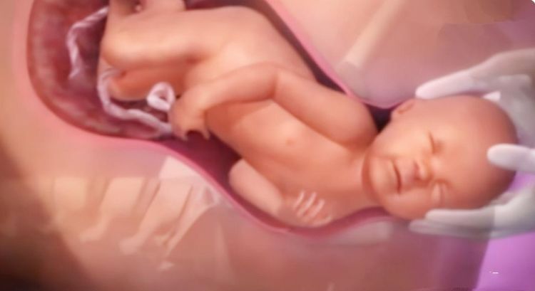 女性分娩|为什么顺产会很痛?4张图讲解原因,妈妈没有容易的