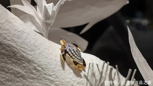 总听到“高珠”这个词!真正的高珠,到底长什么样子?!